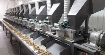 Предприятие по переработке ореха